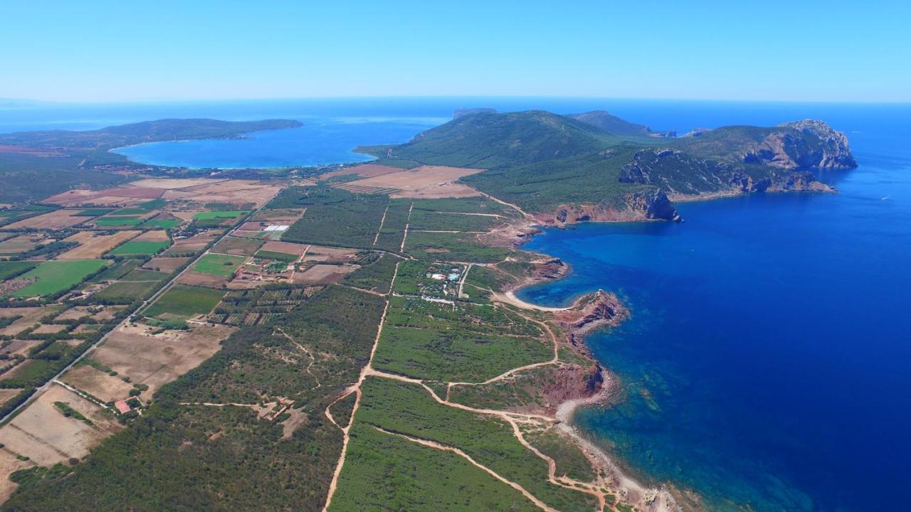 بورتو كونتي Villaggio Camping Torre Del Porticciolo المظهر الخارجي الصورة